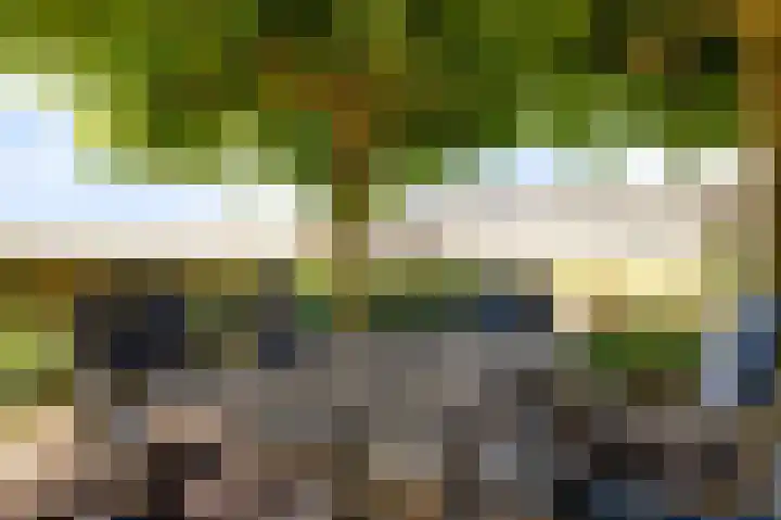 Hugo de Vriesweg 8 Almere thumbnail 49
