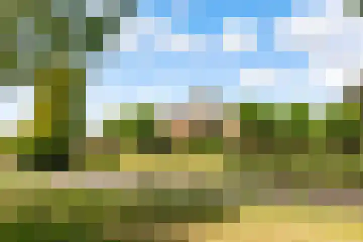 Hugo de Vriesweg 8 Almere thumbnail 5