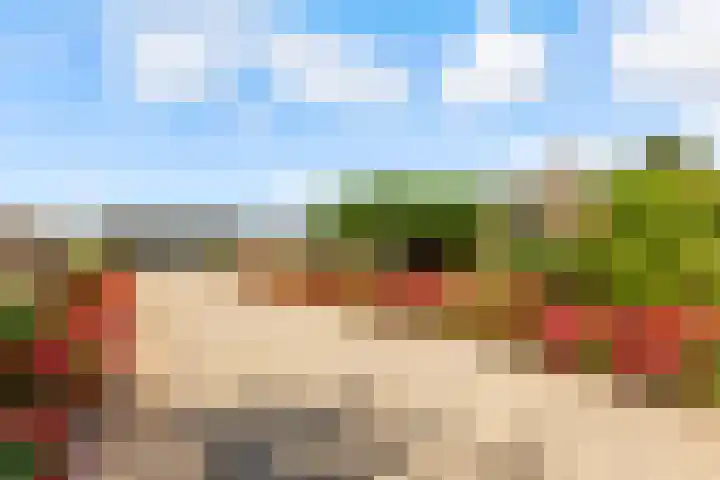 Hugo de Vriesweg 8 Almere thumbnail 51