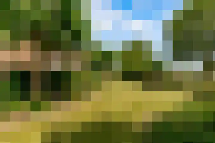 Hugo de Vriesweg 8 Almere thumbnail 53
