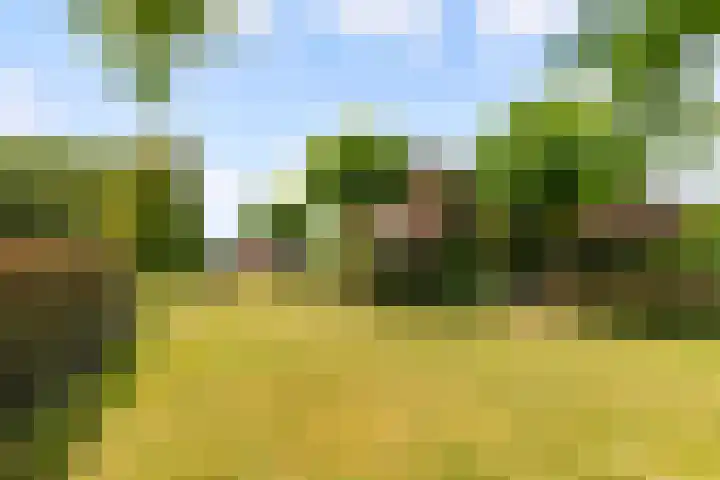 Hugo de Vriesweg 8 Almere thumbnail 55
