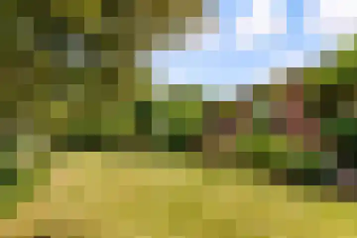 Hugo de Vriesweg 8 Almere thumbnail 57