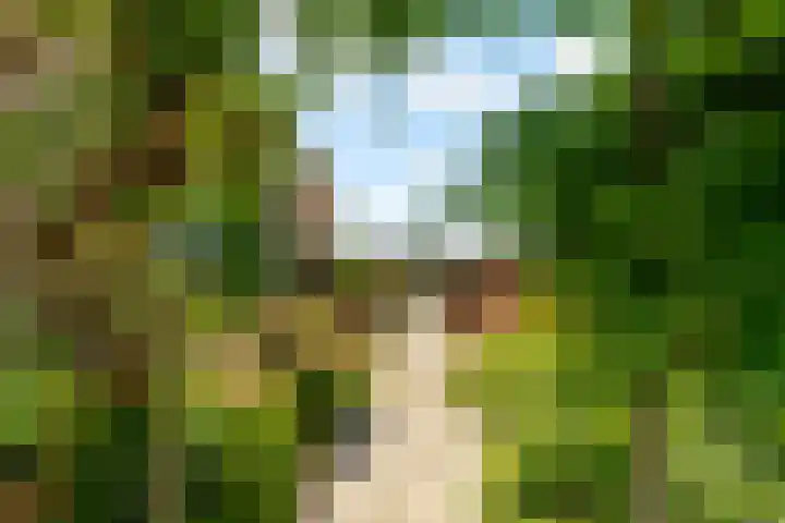 Hugo de Vriesweg 8 Almere thumbnail 58