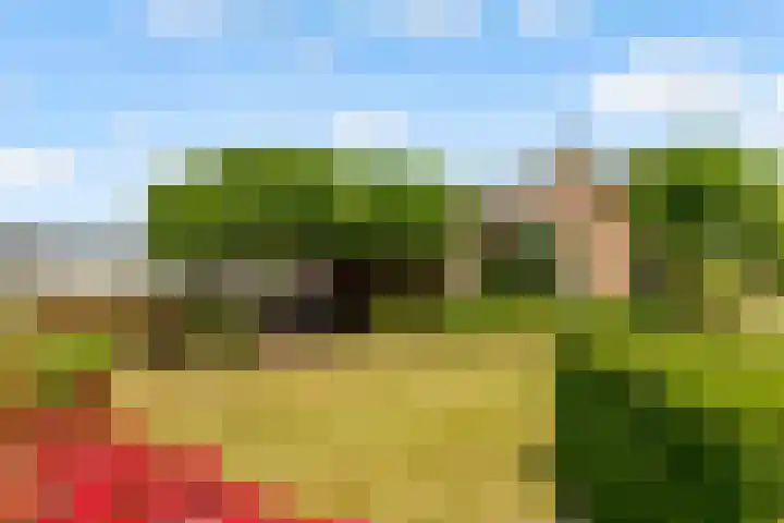 Hugo de Vriesweg 8 Almere thumbnail 6
