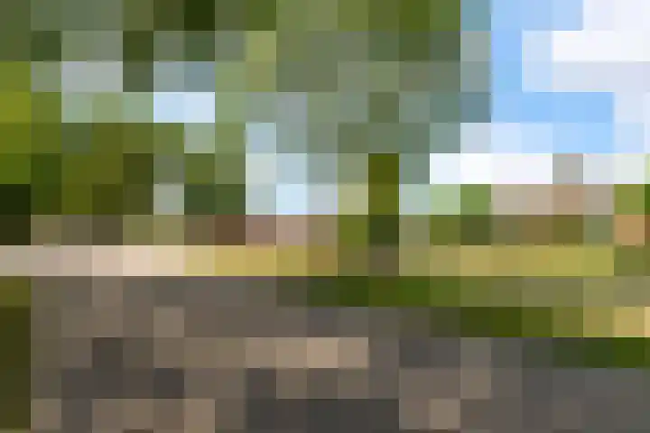 Hugo de Vriesweg 8 Almere thumbnail 62