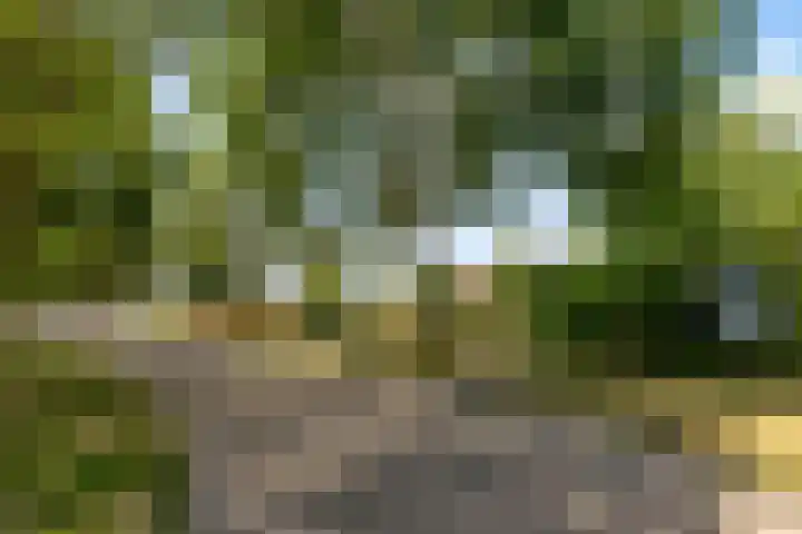 Hugo de Vriesweg 8 Almere thumbnail 63