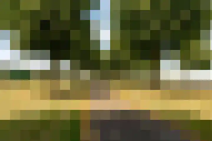Hugo de Vriesweg 8 Almere thumbnail 64