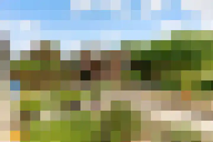 Hugo de Vriesweg 8 Almere thumbnail 7