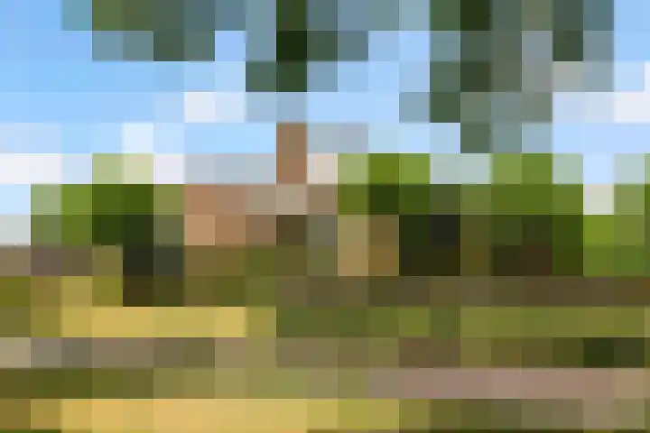 Hugo de Vriesweg 8 Almere thumbnail 75