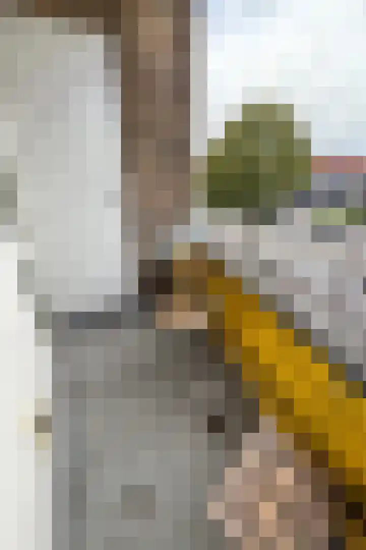Hugo Floris Ruysstraat 6 1 Amsterdam thumbnail 23