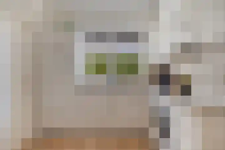 Hugo Kostenhoekstraat 9 Oudelande thumbnail 12