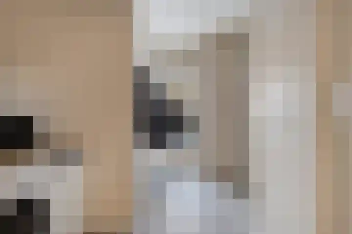 Hugo Kostenhoekstraat 9 Oudelande thumbnail 14