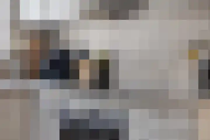 Hugo Kostenhoekstraat 9 Oudelande thumbnail 16