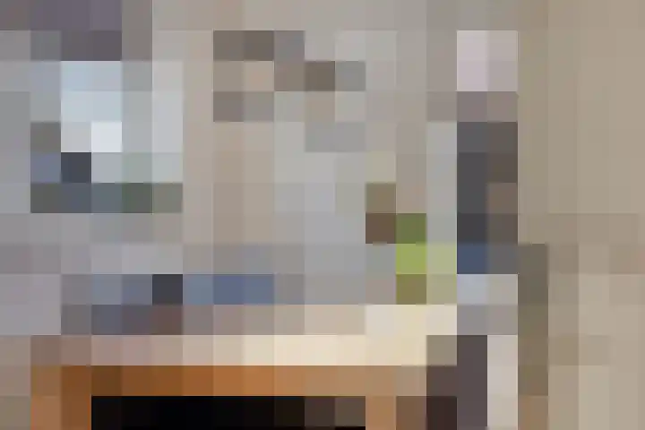 Hugo Kostenhoekstraat 9 Oudelande thumbnail 17