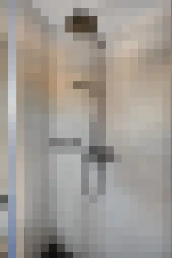 Hugo Kostenhoekstraat 9 Oudelande thumbnail 22