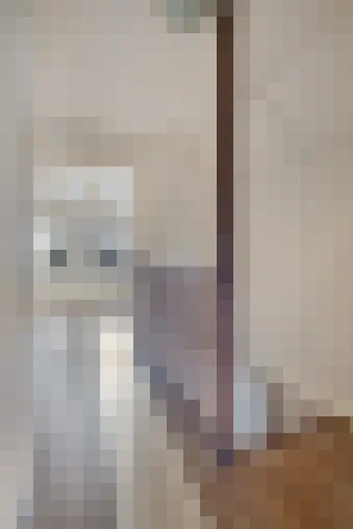 Hugo Kostenhoekstraat 9 Oudelande thumbnail 23