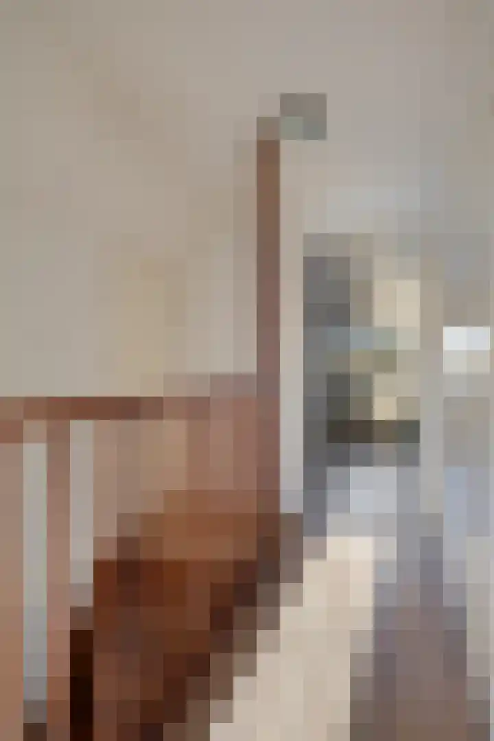 Hugo Kostenhoekstraat 9 Oudelande thumbnail 24