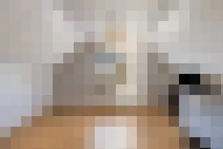 Hugo Kostenhoekstraat 9 Oudelande thumbnail 29