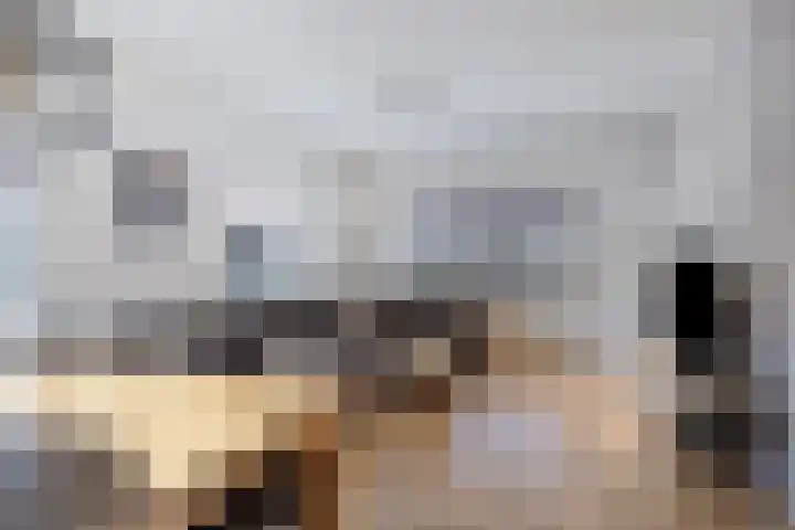 Hugo Kostenhoekstraat 9 Oudelande thumbnail 7