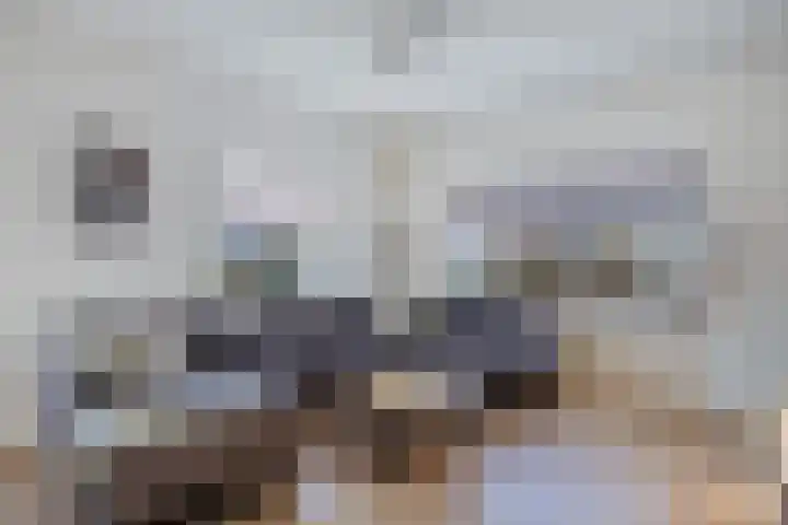 Hugo Kostenhoekstraat 9 Oudelande thumbnail 8