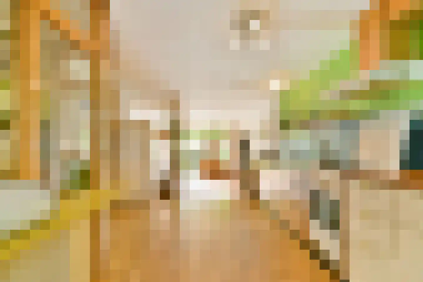 Hugo Molenaarstraat 12 B Rotterdam thumbnail 9