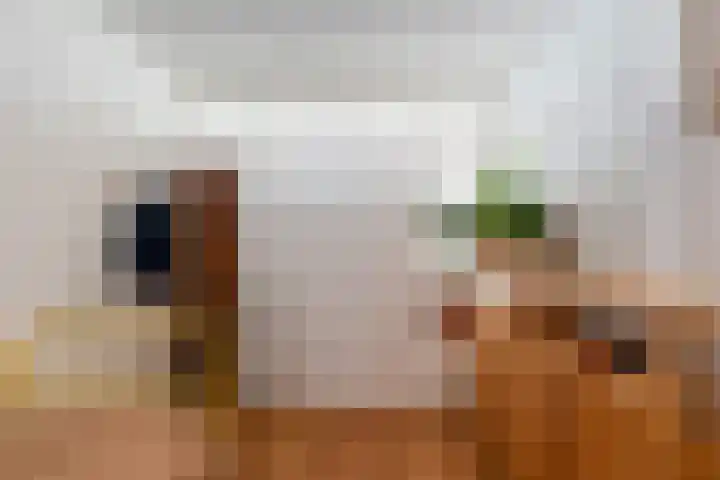 Hugo Molenaarstraat 14 A 03 Rotterdam thumbnail 37