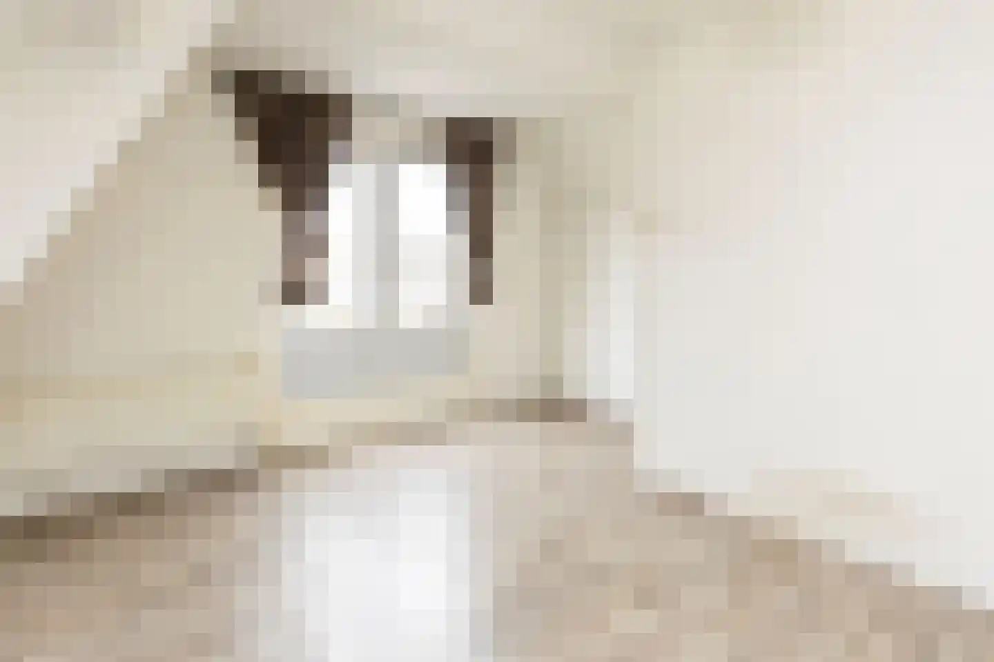 Hugo Molenaarstraat 17 A 01 Rotterdam thumbnail 15