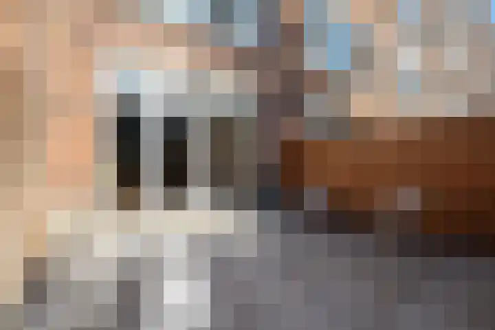 Hugo Molenaarstraat 26 B 03 Rotterdam thumbnail 21