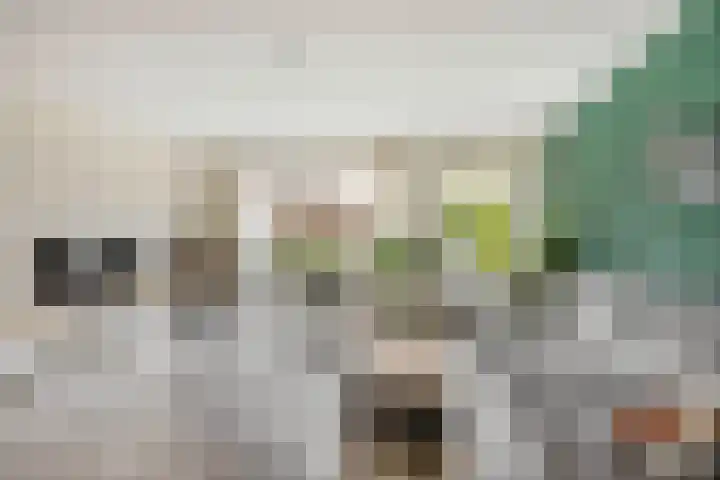 Hugo Poortmanstraat 51 Waddinxveen thumbnail 12