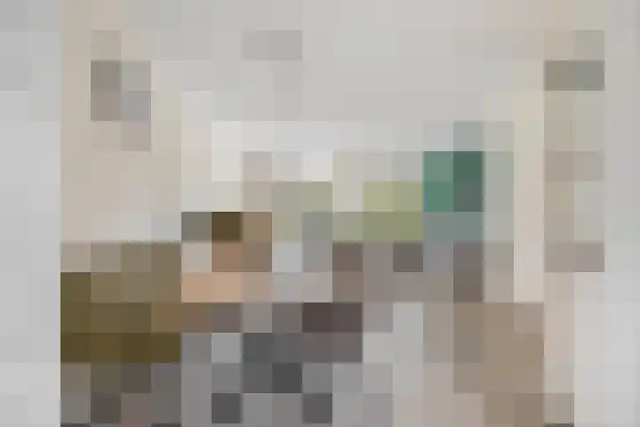 Hugo Poortmanstraat 51 Waddinxveen thumbnail 14