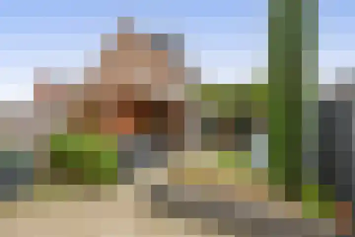 Hugo Poortmanstraat 51 Waddinxveen thumbnail 18