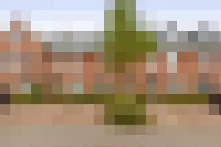 Hugo Poortmanstraat 51 Waddinxveen thumbnail 8