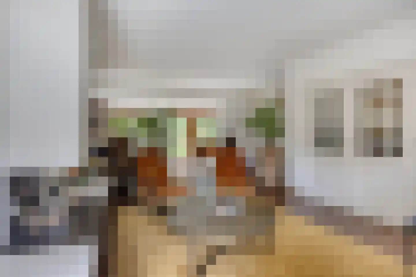 Hugo Thijssensplein 1 Beek en Donk thumbnail 18