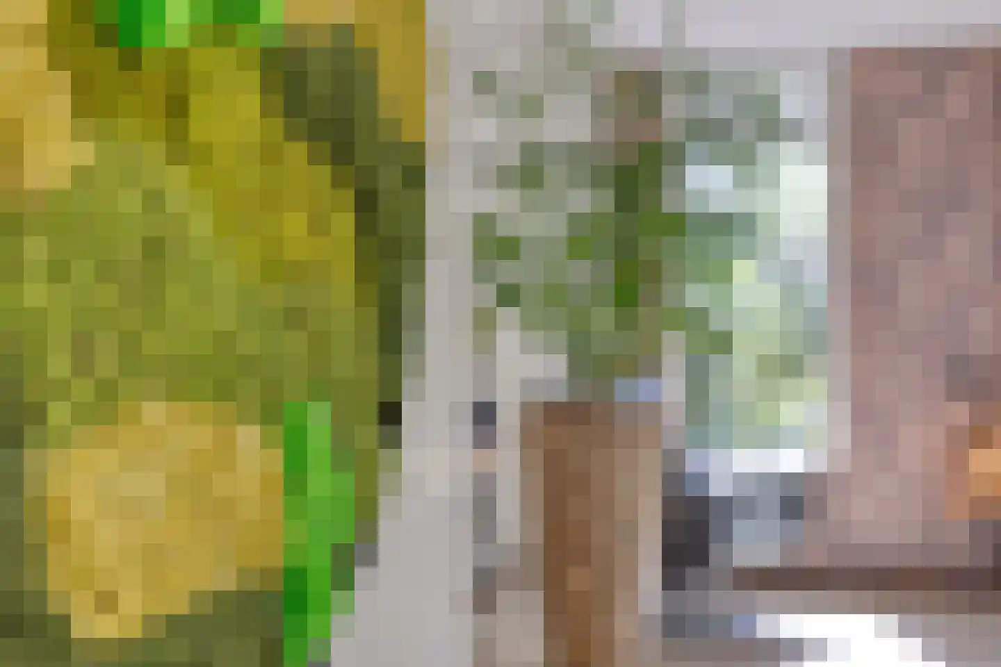 Hugo Thijssensplein 1 Beek en Donk thumbnail 27