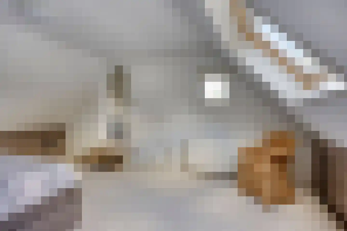 Hugo Thijssensplein 1 Beek en Donk thumbnail 45