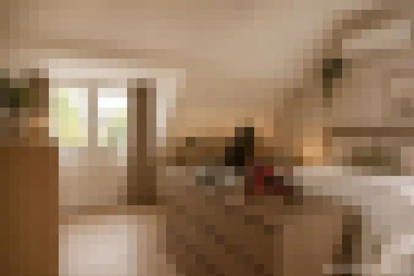 Hugo Thijssensplein 1 Beek en Donk thumbnail 52