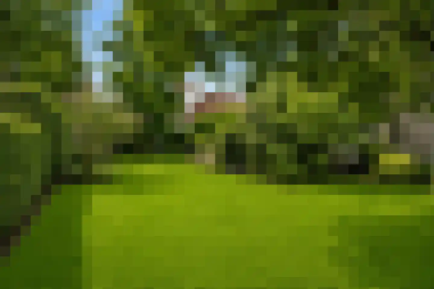 Hugo Thijssensplein 1 Beek en Donk thumbnail 57