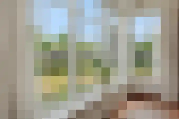 Hugo Thijssensplein 3 Beek en Donk thumbnail 14