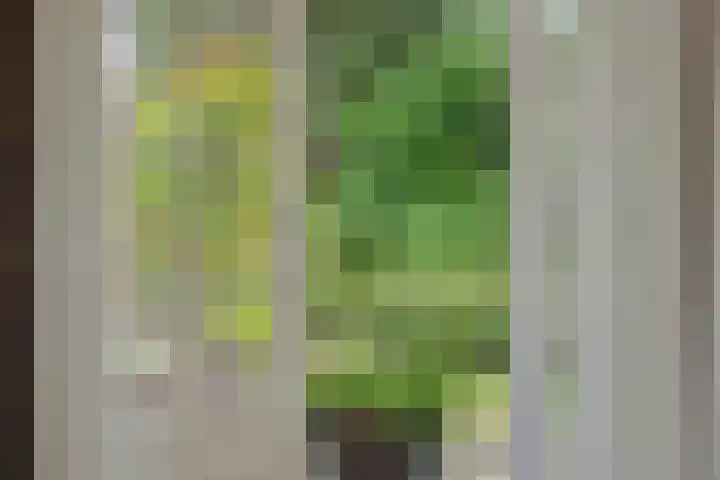 Hugo Thijssensplein 3 Beek en Donk thumbnail 19