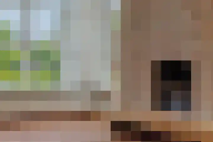 Hugo Thijssensplein 3 Beek en Donk thumbnail 21