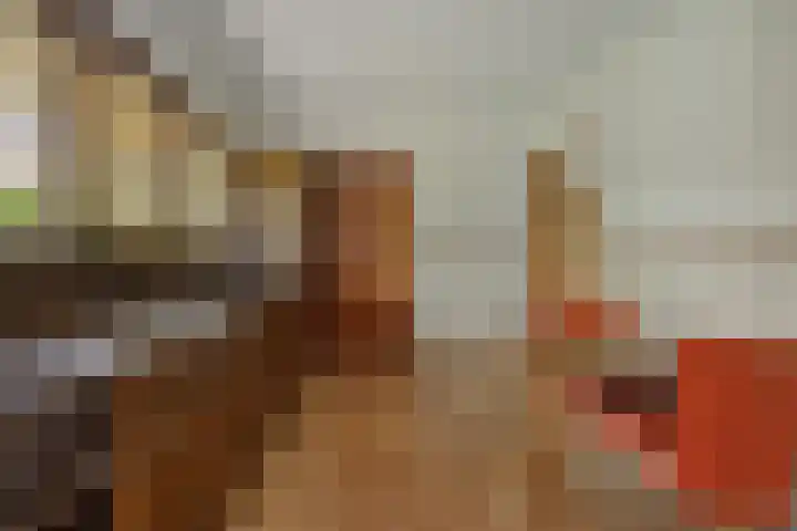 Hugo Thijssensplein 3 Beek en Donk thumbnail 24