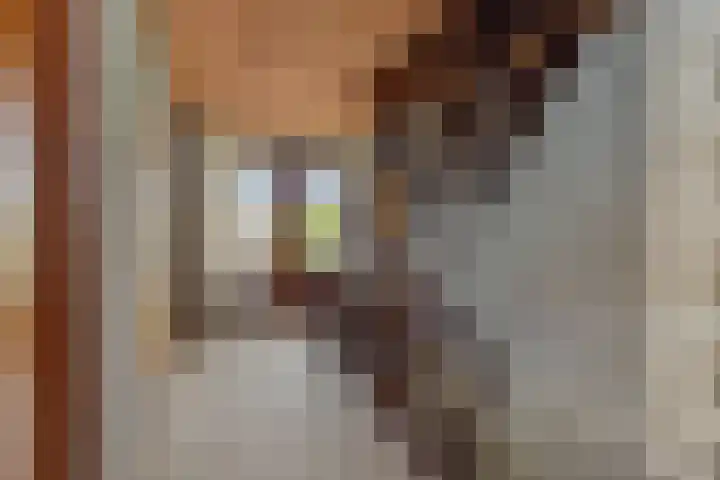 Hugo Thijssensplein 3 Beek en Donk thumbnail 28