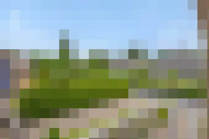 Hugo Thijssensplein 3 Beek en Donk thumbnail 30