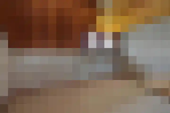 Hugo Thijssensplein 3 Beek en Donk thumbnail 31