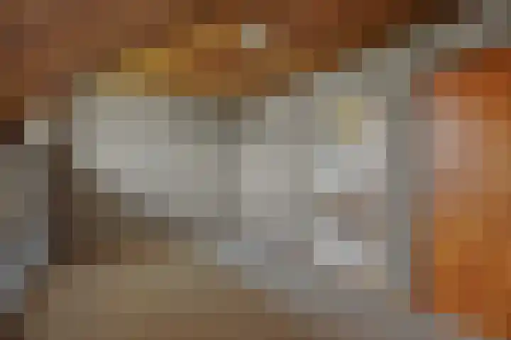Hugo Thijssensplein 3 Beek en Donk thumbnail 32