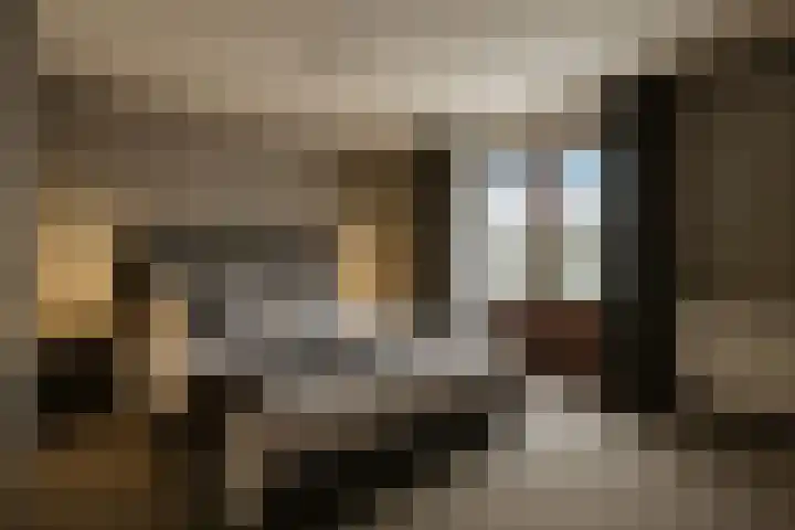 Hugo Thijssensplein 3 Beek en Donk thumbnail 36