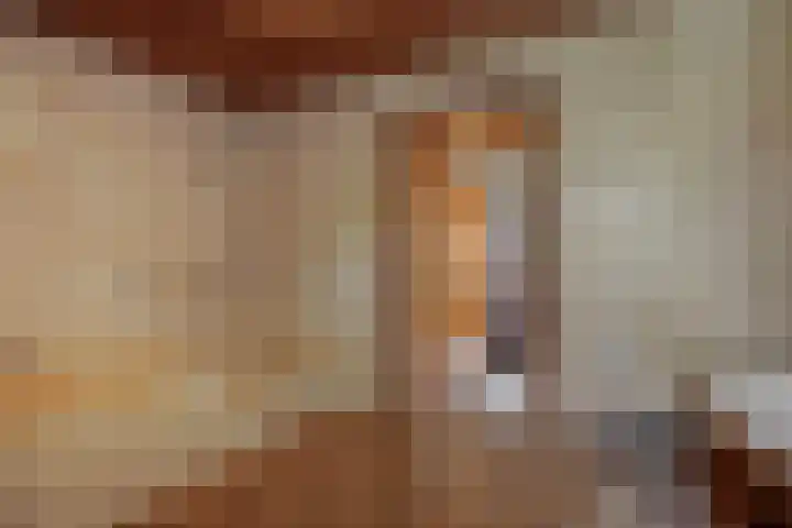 Hugo Thijssensplein 3 Beek en Donk thumbnail 42