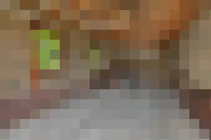 Hugo Thijssensplein 3 Beek en Donk thumbnail 46