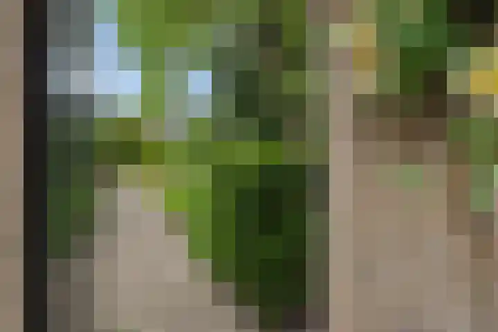 Hugo Thijssensplein 3 Beek en Donk thumbnail 47