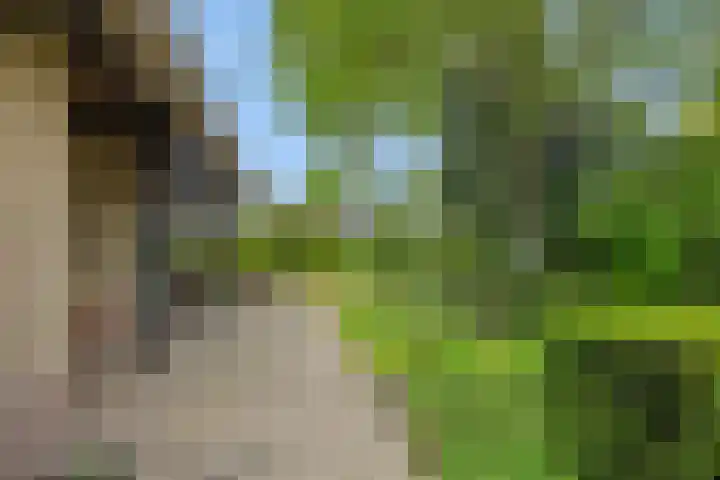 Hugo Thijssensplein 3 Beek en Donk thumbnail 48